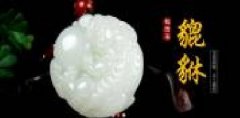 鎮平縣玉之言商貿有限公司海洋網(wǎng)絡(luò )簽訂網(wǎng)站制作合同