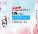 河北天依杰紡織有限公司與我司簽訂網(wǎng)站建設協(xié)議
