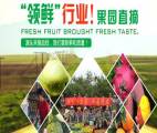 廣西百百陽(yáng)商貿有限公司與我司簽訂網(wǎng)站建設協(xié)議