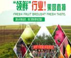 廣西百百陽(yáng)商貿有限公司跟我司簽訂網(wǎng)站建設協(xié)議