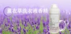 上海依克塞汀香料有限公司海洋網(wǎng)絡(luò )簽訂網(wǎng)站建設合同