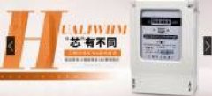 上海華立電表廠(chǎng)和本公司簽署做網(wǎng)站項目
