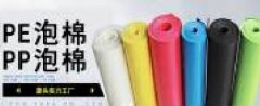 深圳市長(cháng)園特發(fā)科技有限公司和本公司簽訂網(wǎng)站建設協(xié)議