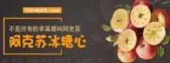 甘肅慶新電子商務(wù)有限公司和本公司簽訂網(wǎng)站建設協(xié)議