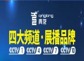 廣西青龍化學(xué)建材有限公司與我司簽訂網(wǎng)站設協(xié)議
