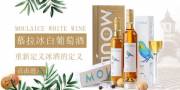 青島路易圣堡葡萄酒業(yè)有限公司海洋網(wǎng)絡(luò )簽訂網(wǎng)站設計合作協(xié)定