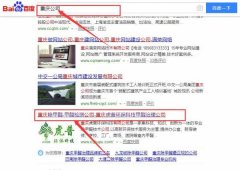 重慶虎普環(huán)?？萍加邢薰竞捅竟竞灱sSEO推廣合同