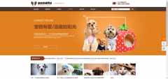 網(wǎng)站seo優(yōu)化目標受眾群體的準確歸類(lèi)