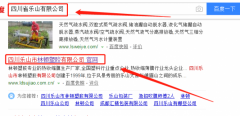 四川樂(lè )山市林頓塑膠有限公司與本司簽約網(wǎng)站設計協(xié)議