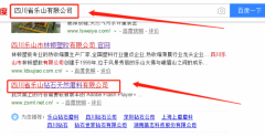 四川省樂(lè )山鉆石天然磨料有限責任公司跟本公司簽訂網(wǎng)頁(yè)設計項目