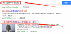 湖北鐘祥名流累托石開(kāi)發(fā)有限公司與本司簽約網(wǎng)站推廣項目
