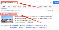 湖北谷城新和有限公司與海洋網(wǎng)絡(luò )簽署網(wǎng)站制作項目