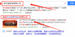宜城大山合現代農業(yè)有限公司與本司簽約網(wǎng)站開(kāi)發(fā)協(xié)議