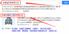 和縣科嘉閥門(mén)鑄造有限公司與我司做網(wǎng)站推廣項目