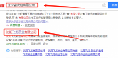 沈陽(yáng)飛龍藥業(yè)有限公司和本公司簽約網(wǎng)頁(yè)設計合同