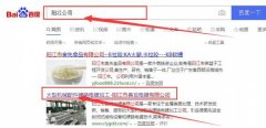 陽(yáng)江市*龍電鍍有限公司與我司做快速排名項目