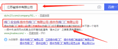 揚中市閥門(mén)廠(chǎng)有限公司與我司做網(wǎng)站推廣項目