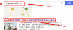 山東省蓬萊制藥機械廠(chǎng)有限公司和我公司簽訂網(wǎng)站建設項目