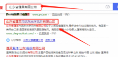 山東省蓬萊市遠東光學(xué)元件有限公司跟本公司簽訂網(wǎng)站制作項目