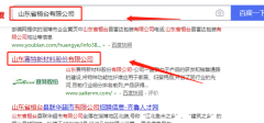 山東賽特新材料股份有限公司與我司做網(wǎng)頁(yè)設計項目