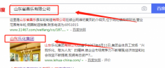 山東樂(lè )化集團有限公司跟本公司簽訂網(wǎng)站建設項目