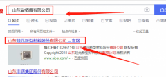 山東硅元新型材料有限責任公司跟本公司簽訂網(wǎng)頁(yè)設計合同