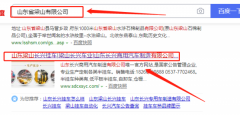 山東長(cháng)興商用汽車(chē)制造有限公司和本公司簽約網(wǎng)站開(kāi)發(fā)合同