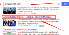山東陽(yáng)谷*纜集團有限公司和本公司簽約網(wǎng)站開(kāi)發(fā)合同