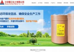 沙洋秦*化工有限公司建網(wǎng)站新一代自助建站、智能建站系統