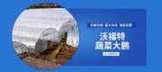 天津沃*特鋼鐵貿易有限公司網(wǎng)站建設基本流程