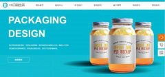 企業(yè)網(wǎng)站設計HTML5與CSS3在網(wǎng)頁(yè)設計中的重要性