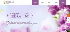 企業(yè)做網(wǎng)站對比調和分欄設計