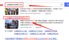 云南*投開(kāi)發(fā)投資有限公司網(wǎng)站建設創(chuàng  )意網(wǎng)站效果展示