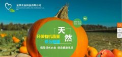 企業(yè)做網(wǎng)站當前CSS技術(shù)所存在的不足之處