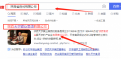 陜西天宇*業(yè)集團有限公司網(wǎng)站建設有創(chuàng  )意的主題設計