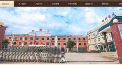 安徽新*藥業(yè)有限公司網(wǎng)站建設有創(chuàng  )意的主題設計