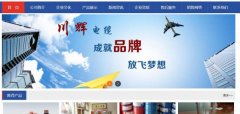 陽(yáng)谷川*電纜有限公司網(wǎng)站制作平面設計案例作品