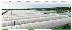 昌樂(lè )國*塑業(yè)有限公司網(wǎng)站建設營(yíng)銷(xiāo)型案例作品