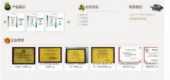 江西樂(lè )平*年青水泥有限公司網(wǎng)站建設營(yíng)銷(xiāo)型案例作品
