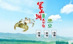 江西省進(jìn)賢縣軍*湖魚(yú)蟹開(kāi)發(fā)公司做網(wǎng)站有創(chuàng  )意的主題設計