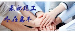 江西省豐城市*豐勞動(dòng)力資源開(kāi)發(fā)有限公司網(wǎng)站建設有創(chuàng  )意的主題設計