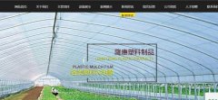 遷安市隆*農膜有限公司網(wǎng)站建設有創(chuàng  )意的主題設計
