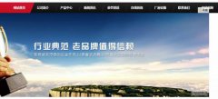 任丘市東*開(kāi)關(guān)電器有限公司網(wǎng)站建設有創(chuàng  )意的主題設計