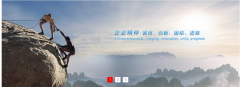營(yíng)口華*石化有限公司網(wǎng)站建設展示型案例作品
