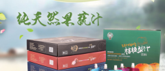 延邊樹(shù)*食品有限公司網(wǎng)站建設營(yíng)銷(xiāo)型案例作品