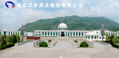 通化衛*藥業(yè)股份有限公司藍色系網(wǎng)站建設給你設計靈感