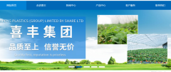 白山市喜*塑料（集團）股份有限公司網(wǎng)站設計營(yíng)銷(xiāo)型案例作品