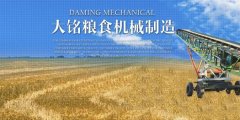 扶余市大*糧食機械制造有限公司做網(wǎng)站創(chuàng  )意網(wǎng)站效果展示