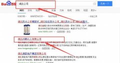 湖北鴻*化工有限公司網(wǎng)站建設可視化建站作品欣賞