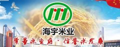 鶴崗市海*米業(yè)有限公司網(wǎng)站模板有創(chuàng  )意的主題設計